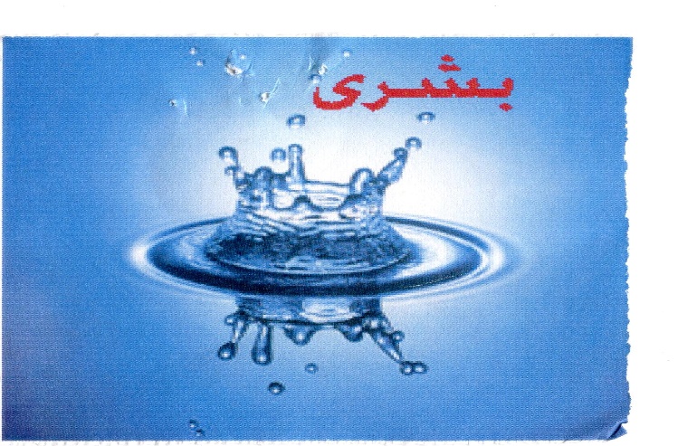 Publication Image