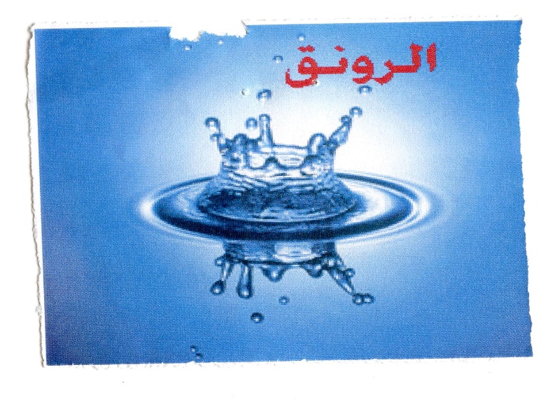 Publication Image