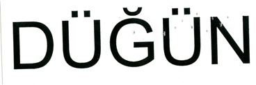 Publication Image