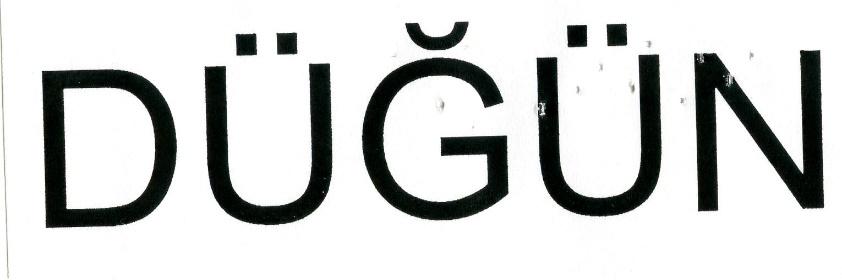 Publication Image