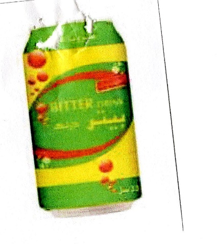 Publication Image