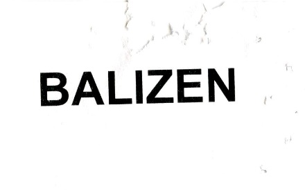 Publication Image