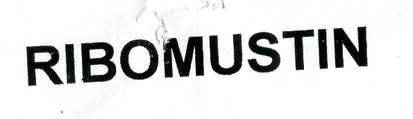 Publication Image