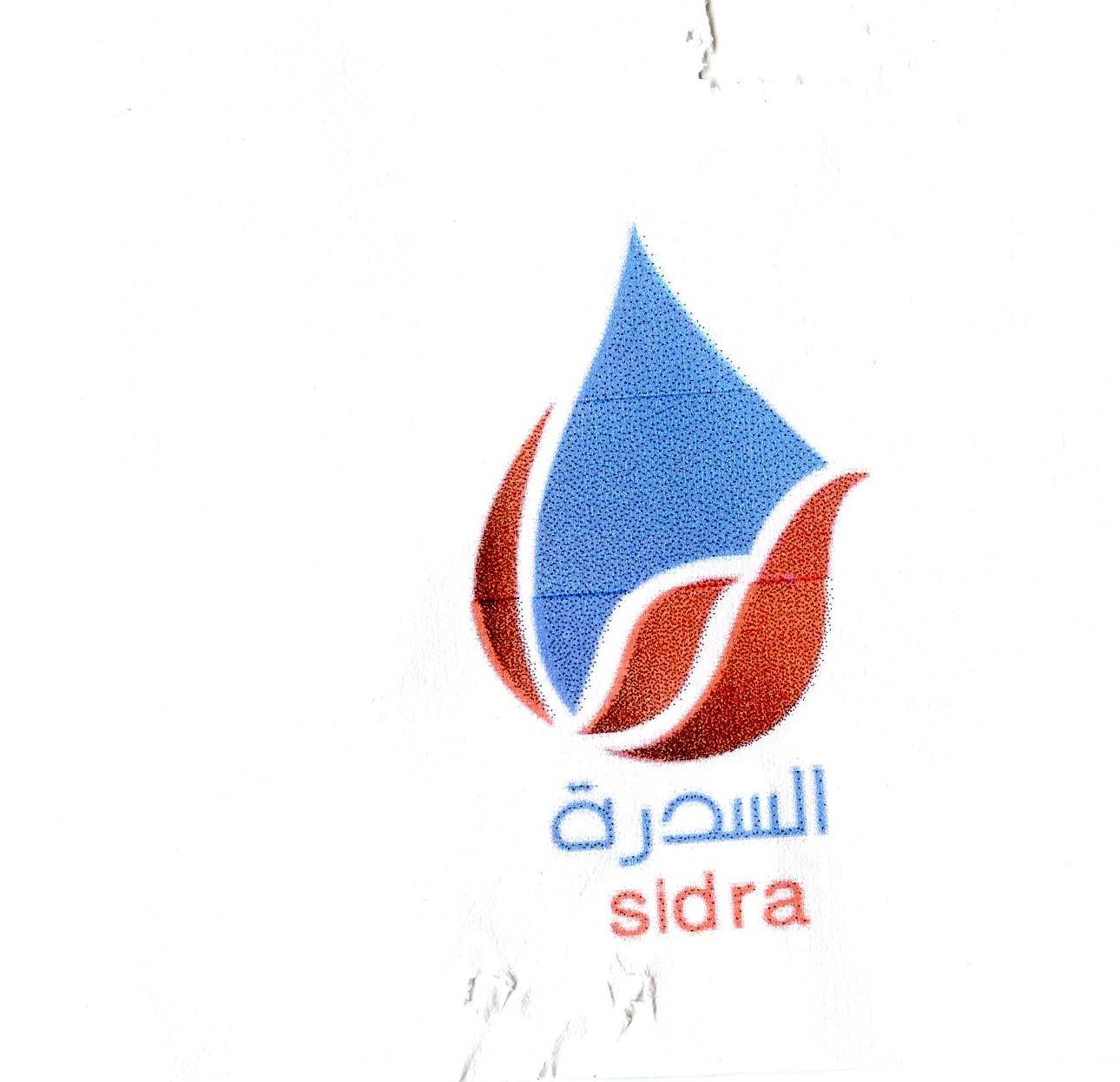 Publication Image