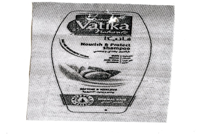 Publication Image