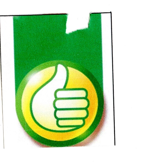 Publication Image