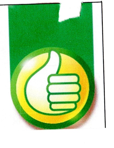 Publication Image