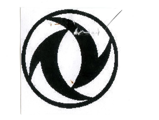 Publication Image