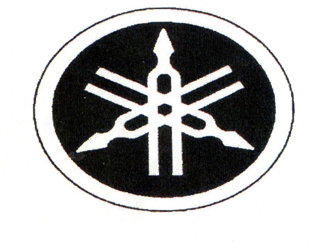 Publication Image