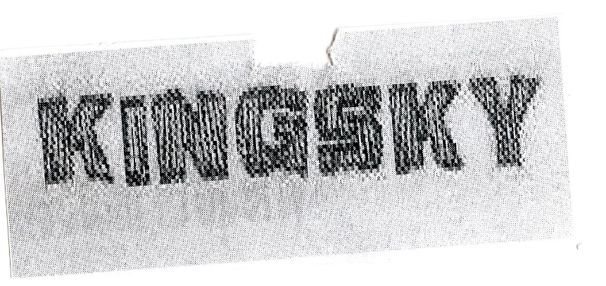 Publication Image