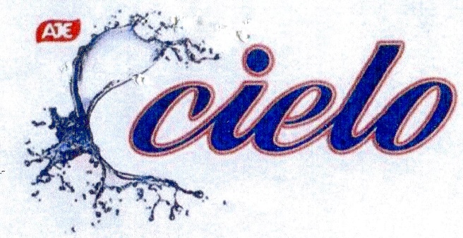 Publication Image