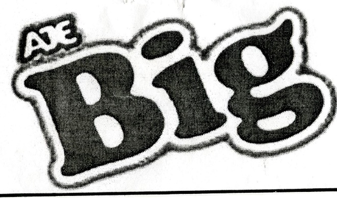Publication Image