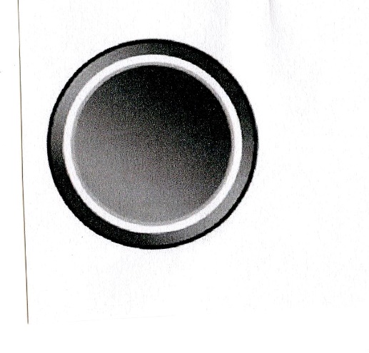 Publication Image