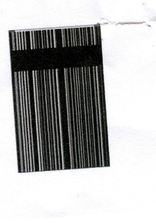 Publication Image