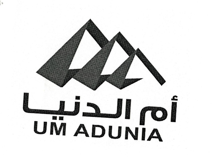 Publication Image