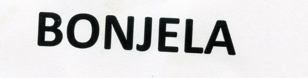 Publication Image