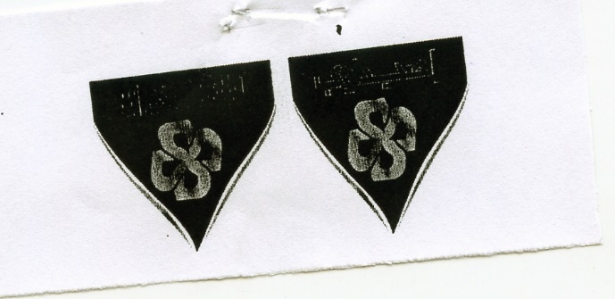 Publication Image
