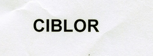Publication Image