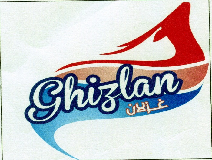 Publication Image