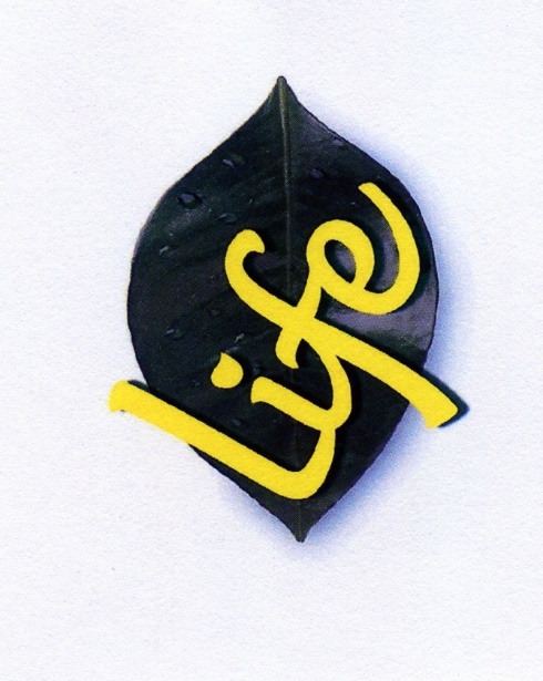 Publication Image