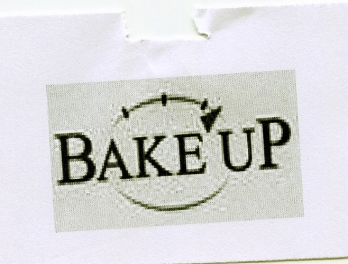 Publication Image