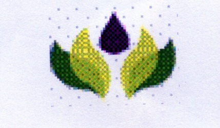 Publication Image