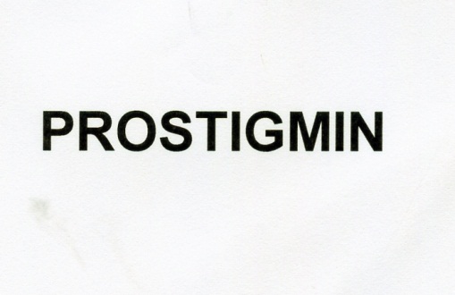 Publication Image