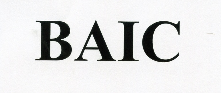 Publication Image