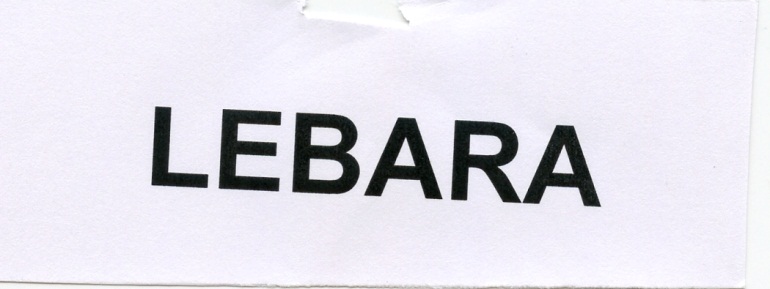 Publication Image
