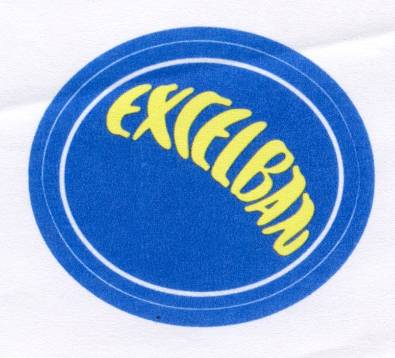 Publication Image