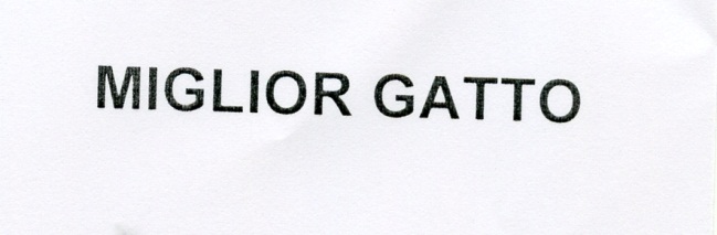 Publication Image