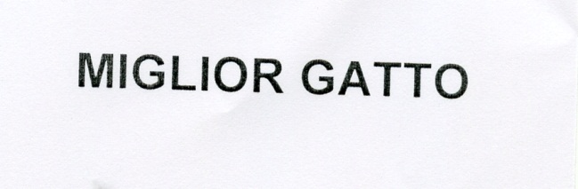 Publication Image