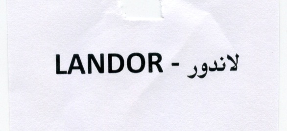 Publication Image