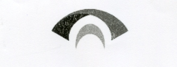 Publication Image