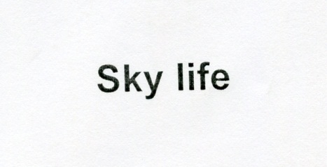 Publication Image