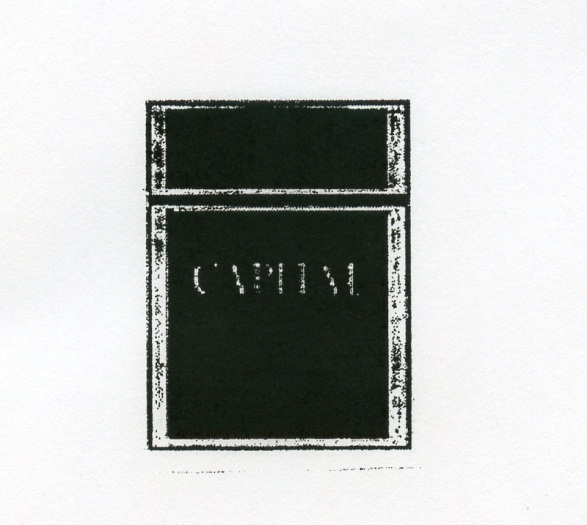 Publication Image