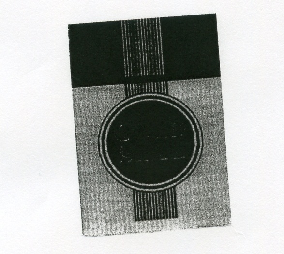 Publication Image