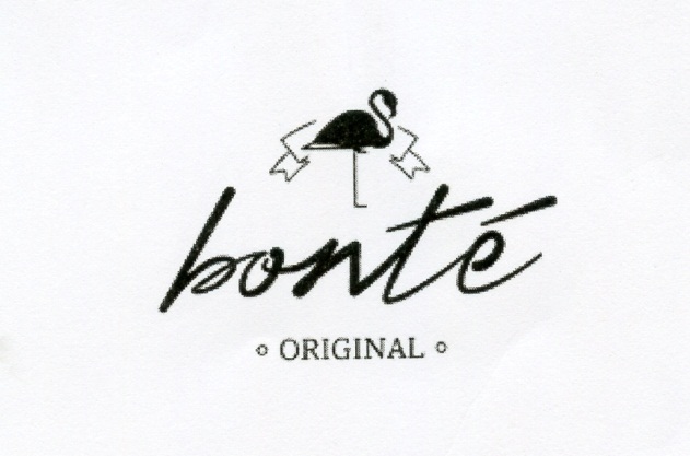 Publication Image