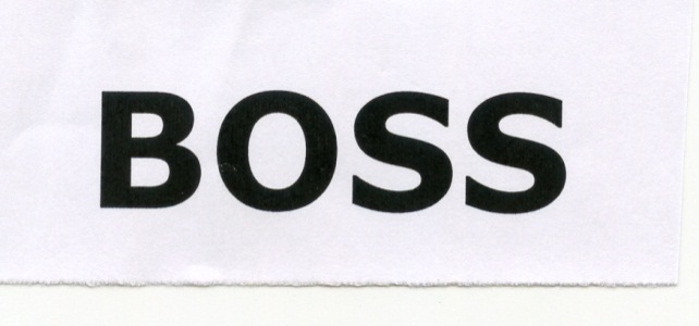 Publication Image