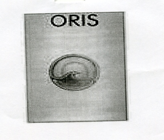 Publication Image