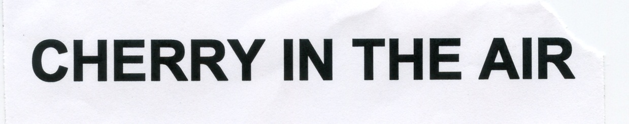 Publication Image