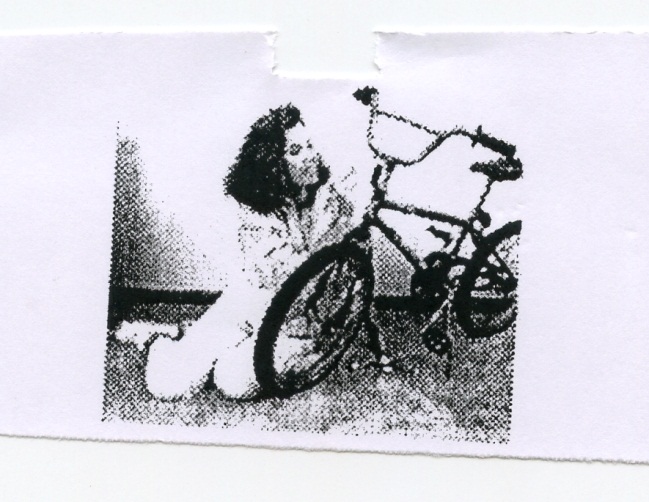 Publication Image