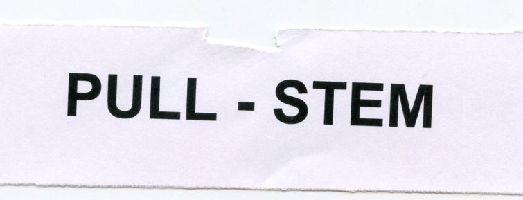 Publication Image