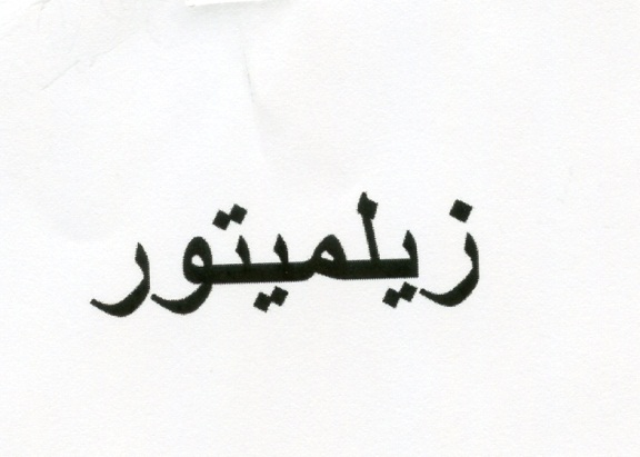 Publication Image