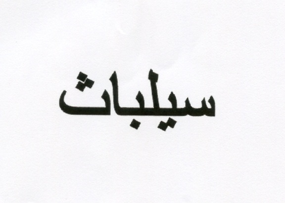 Publication Image