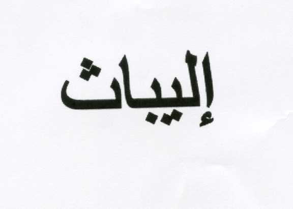 Publication Image