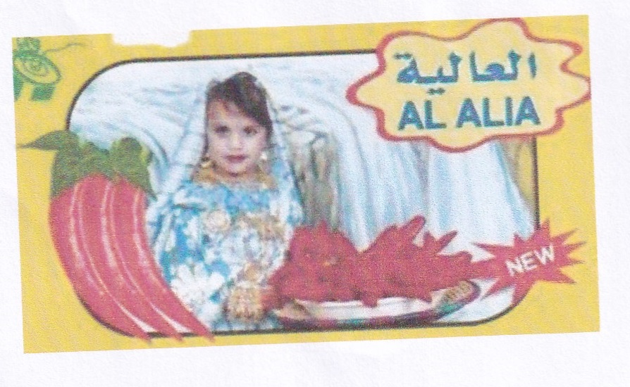 Publication Image