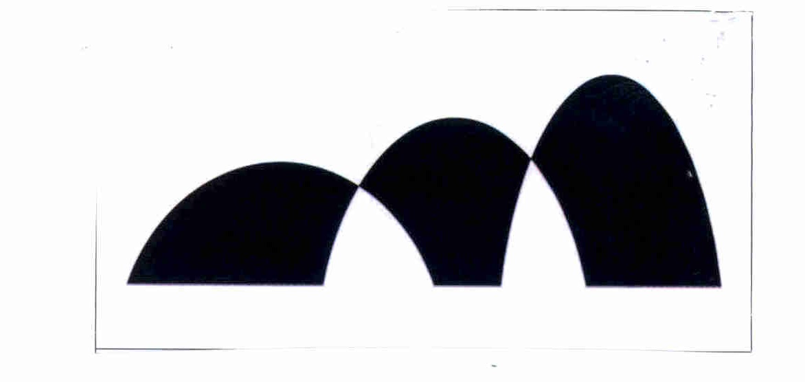 Publication Image