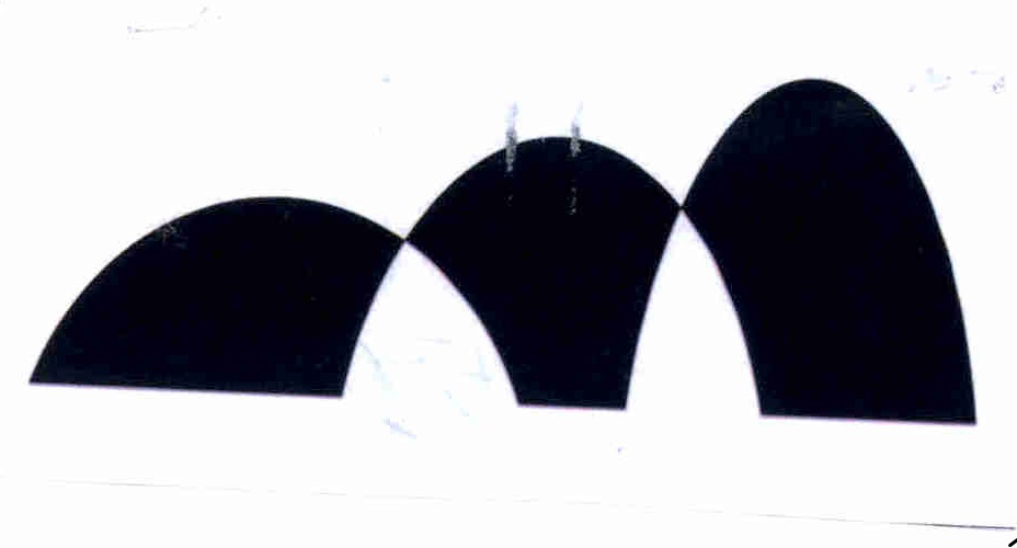 Publication Image