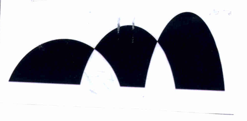 Publication Image